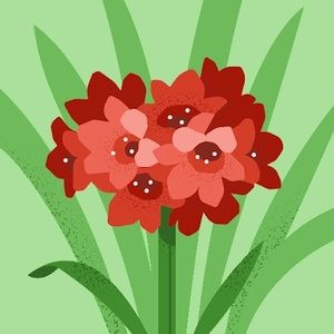 Meet your Posher, Noelia